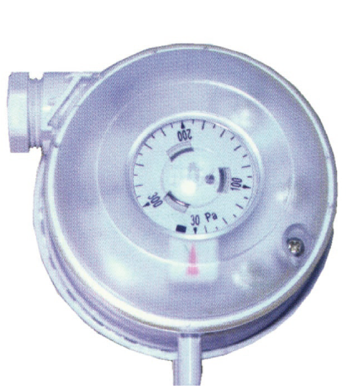 501 Series Adjustable Differential Pressure Switch